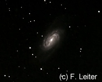 NGC 2903 im Löwen